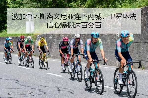 bo-jia-cha-huan-si-luo-wen-ni-ya-lian-xia-liang-cheng-wei-mian-huan-fa-xin-xin-bao-peng-da-bai-fen-bai-2-504.jpg